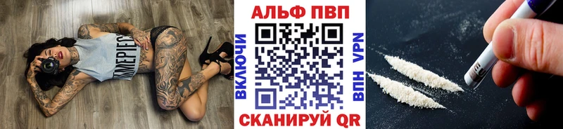 Alfa_PVP крисы CK  кракен   Красный Кут 