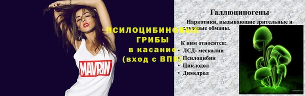 амф Беломорск
